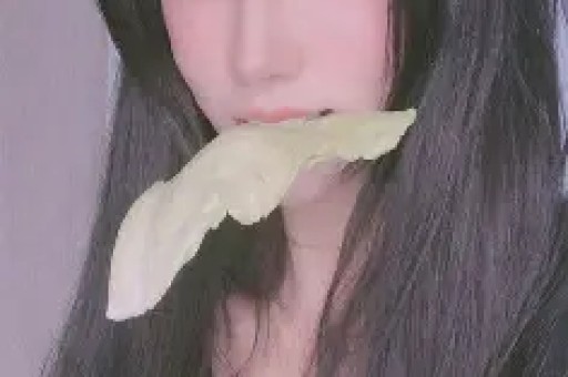 机会速递长鑫等明星项目集中上会券商业绩有望延续高增；厄尔尼诺高温叠加行业旺季空调板块需求修复动能充足；美股软件板块业绩证伪AI吞噬叙事；机构配置风格切换叠加消费复苏食饮有望迎来双击行情