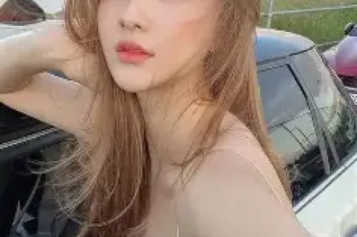全部导航